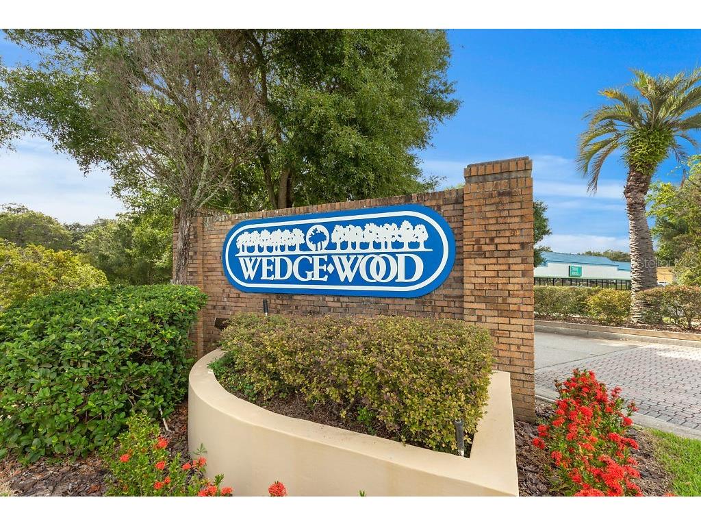 2712 12th Court Palm Harbor FL 34684 TB8403904 image33