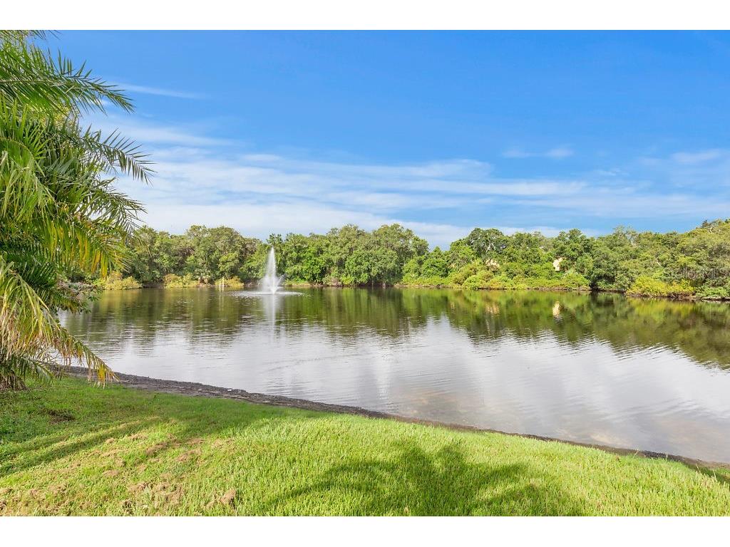 2712 12th Court Palm Harbor FL 34684 TB8403904 image35