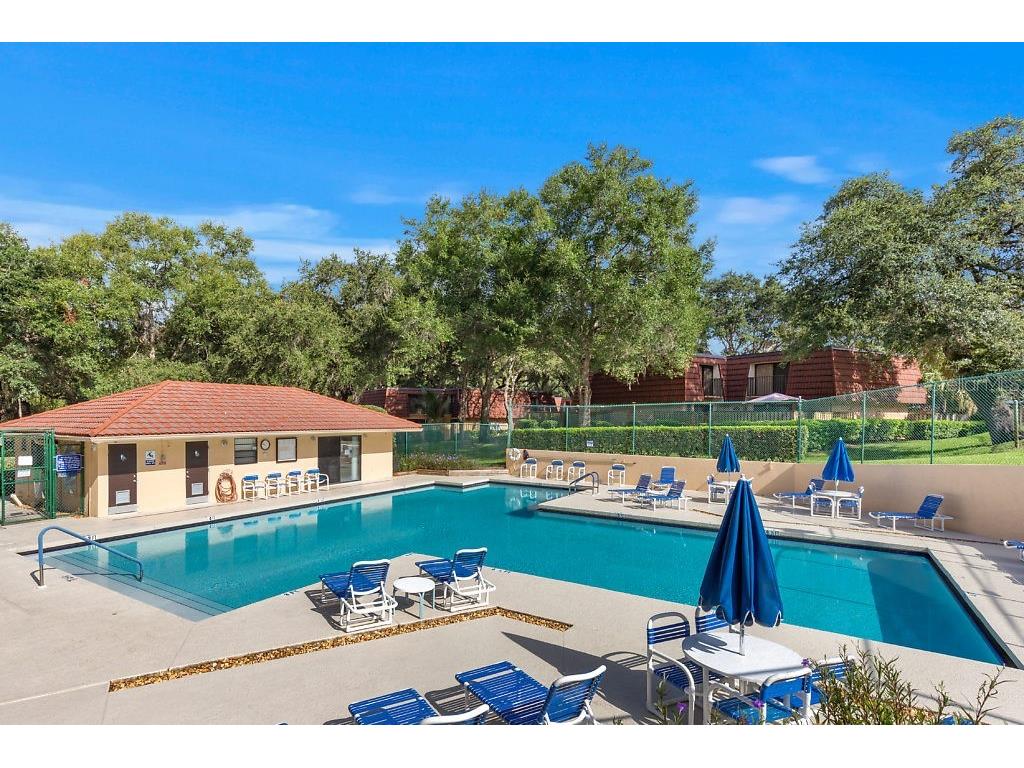 2712 12th Court Palm Harbor FL 34684 TB8403904 image38