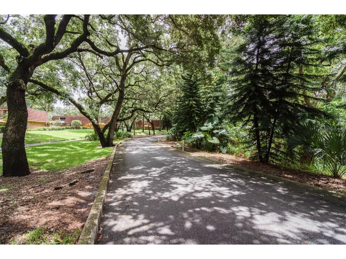 2712 12th Court Palm Harbor FL 34684 TB8403904 image40