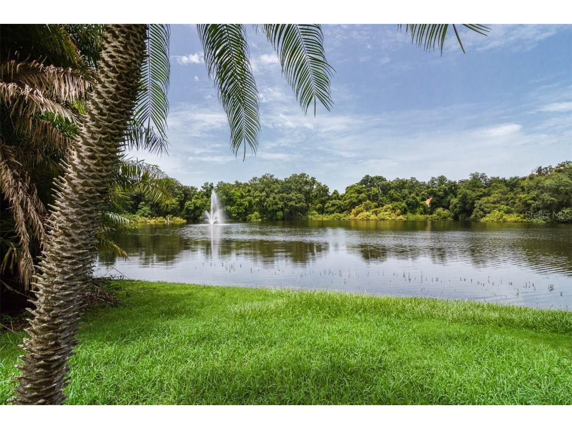 2712 12th Court Palm Harbor FL 34684 TB8403904 image41