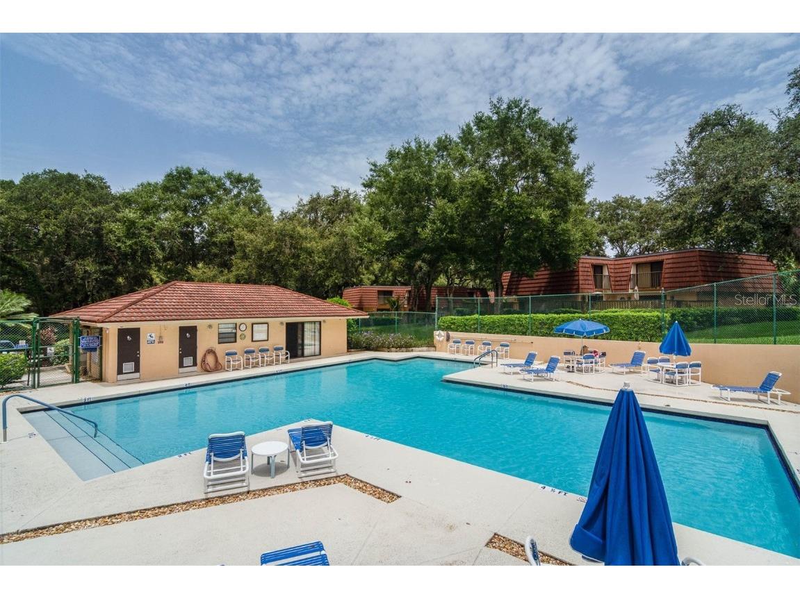 2712 12th Court Palm Harbor FL 34684 TB8403904 image42