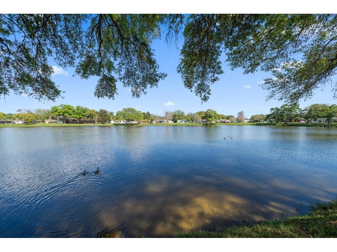 2712 Leslee Lake Drive N Saint Petersburg FL 33713 U8234828 image1