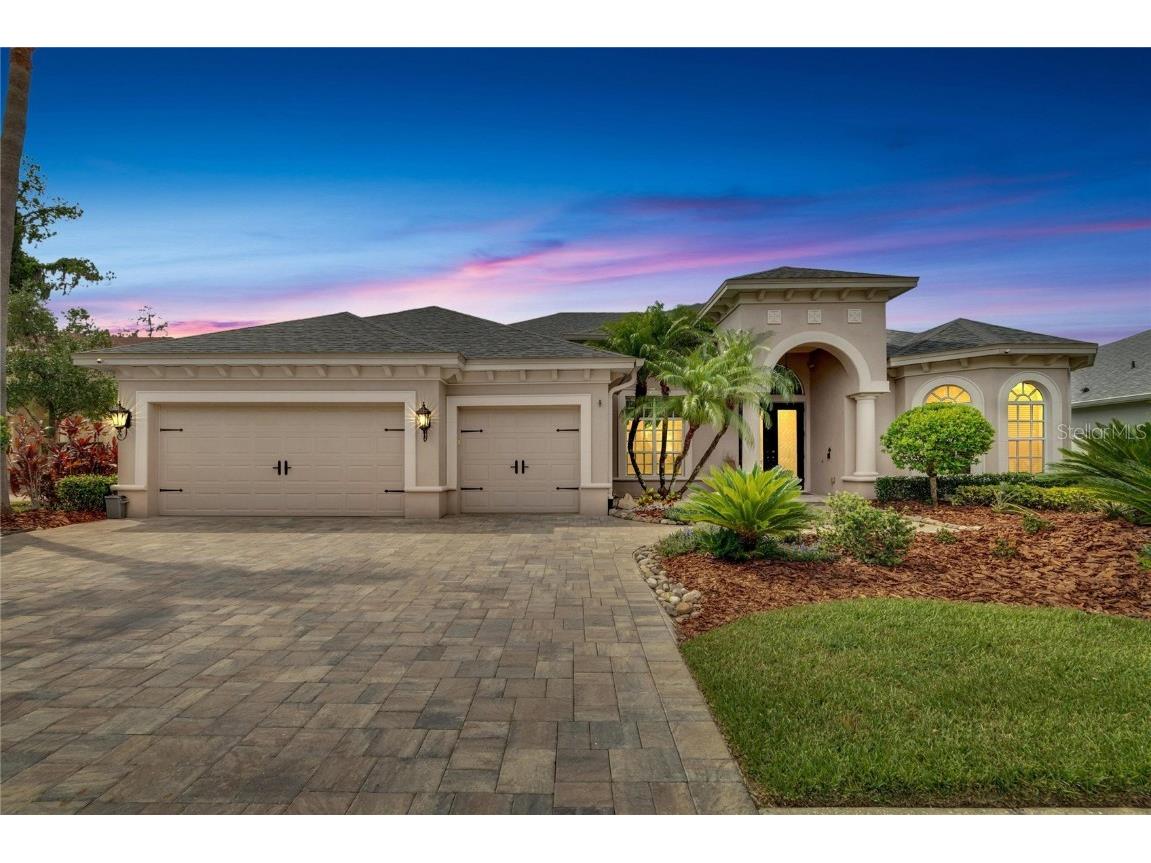 27124 Winged Elm Drive Wesley Chapel FL 33544 T3456098 image1