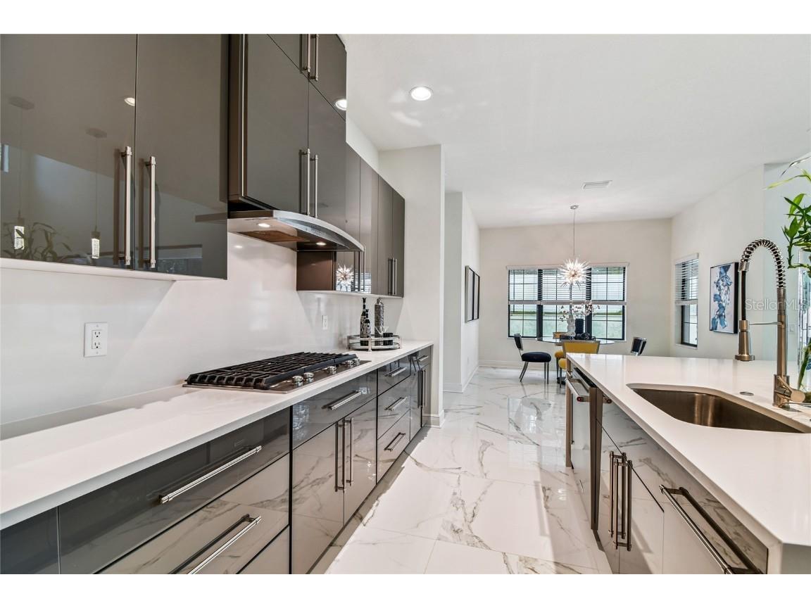 2713 Calvano Drive Land O Lakes FL 34639 TB8426138 image13