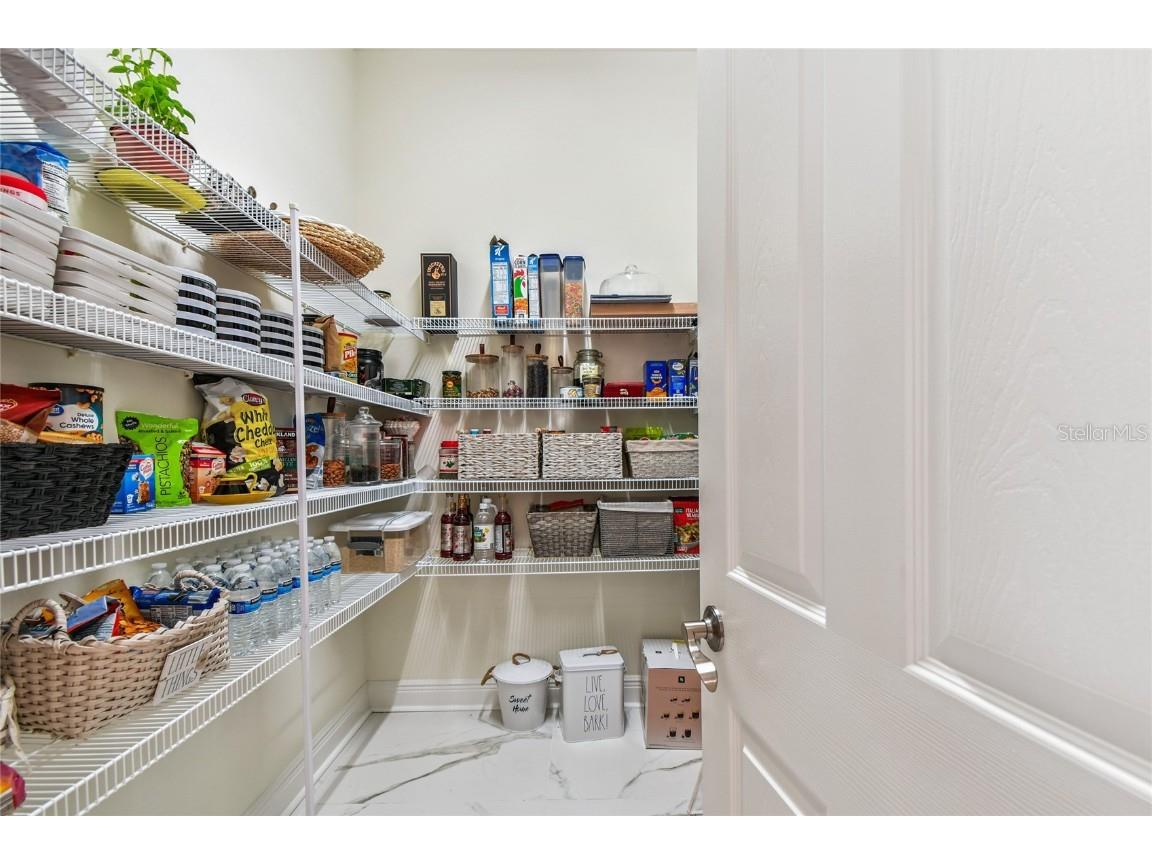 2713 Calvano Drive Land O Lakes FL 34639 TB8426138 image18