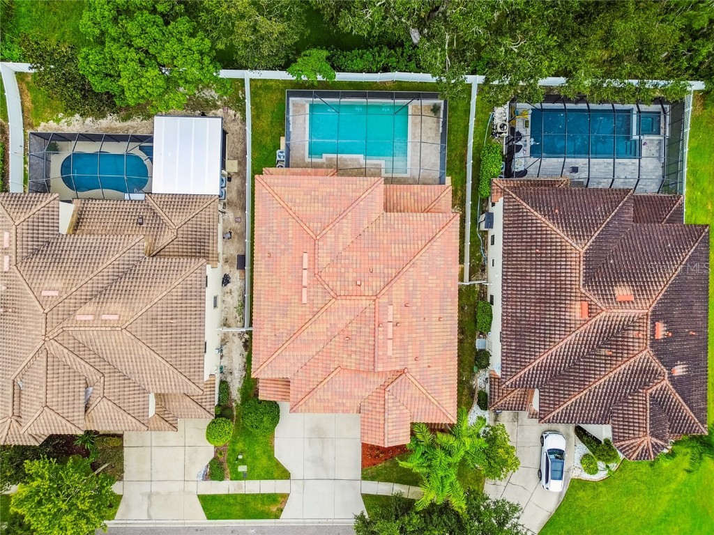 2713 Calvano Drive Land O Lakes FL 34639 TB8426138 image58