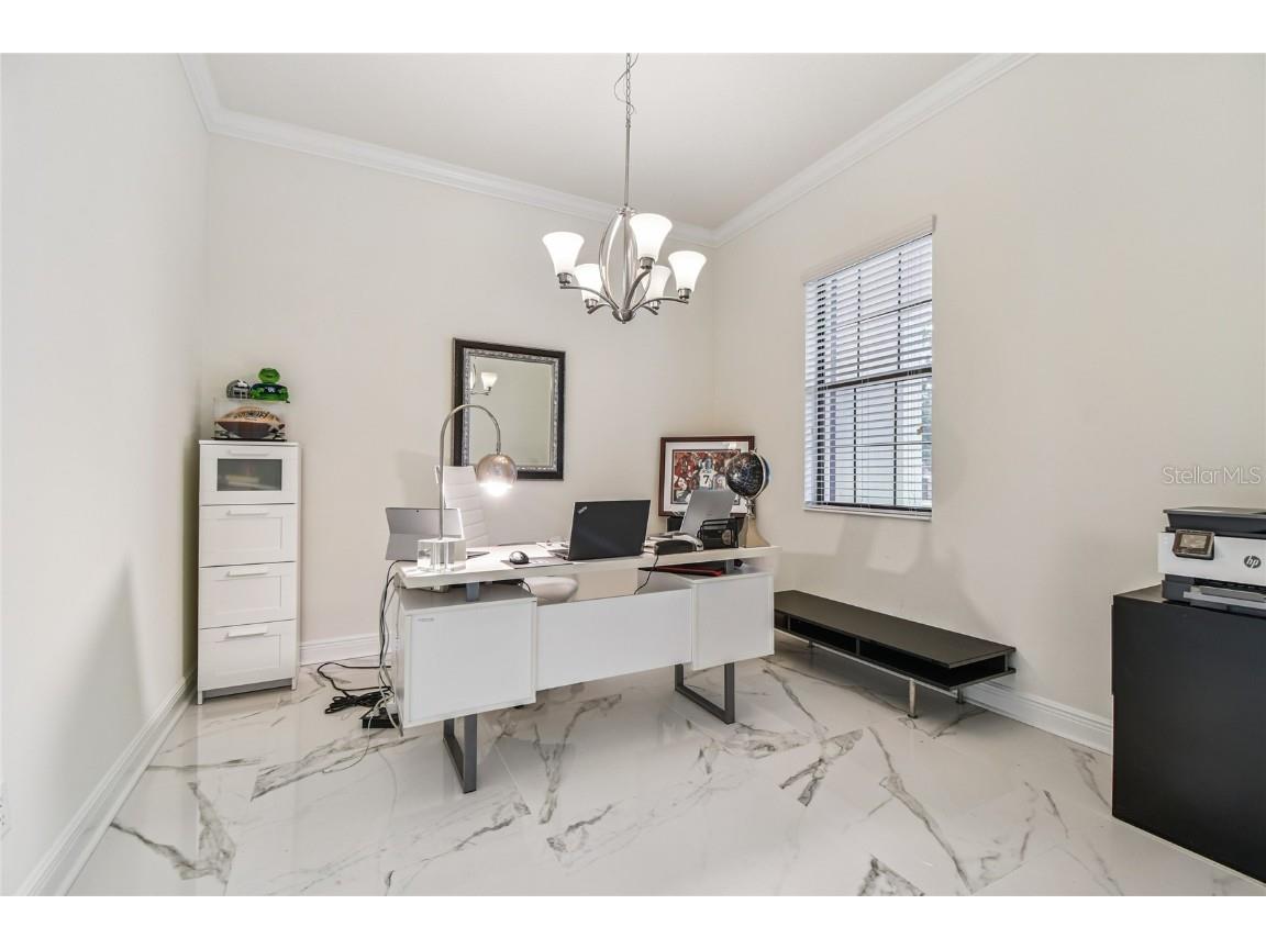 2713 Calvano Drive Land O Lakes FL 34639 TB8426138 image7