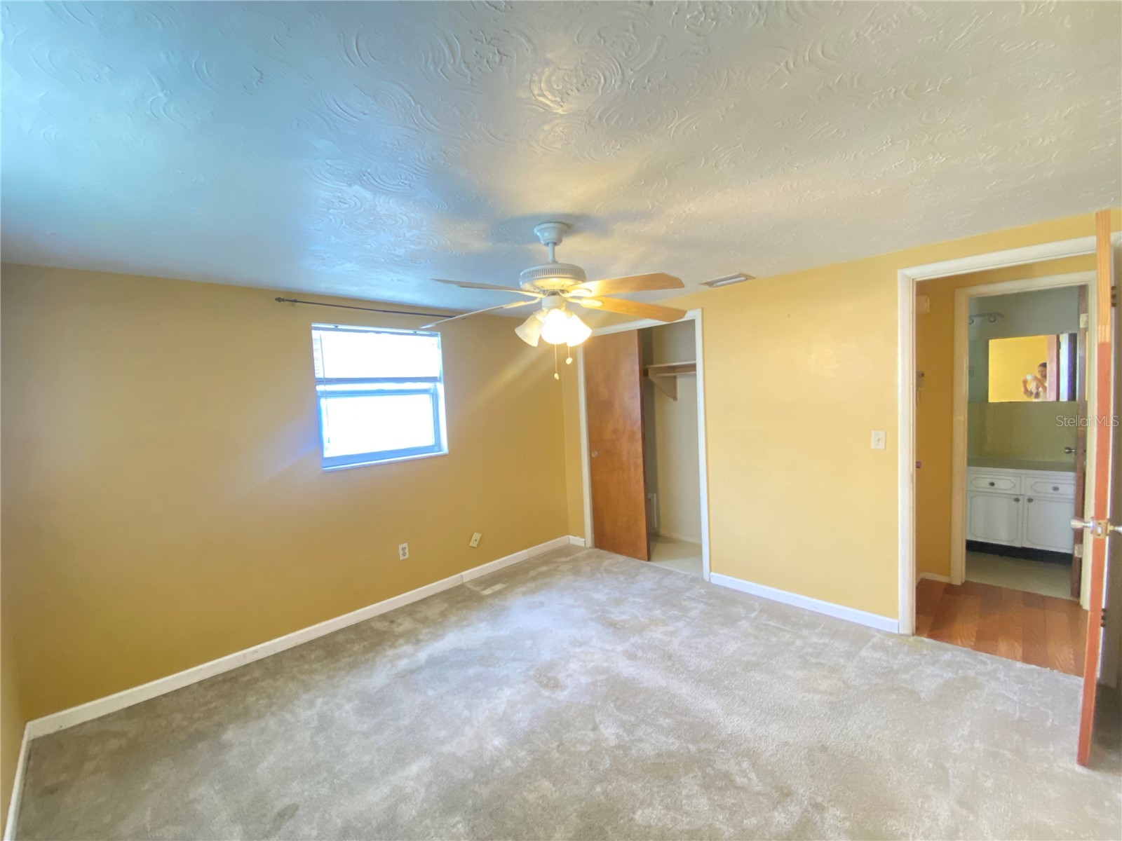 2713 Capricorn Place Holiday FL 34691 TB8531833 image12
