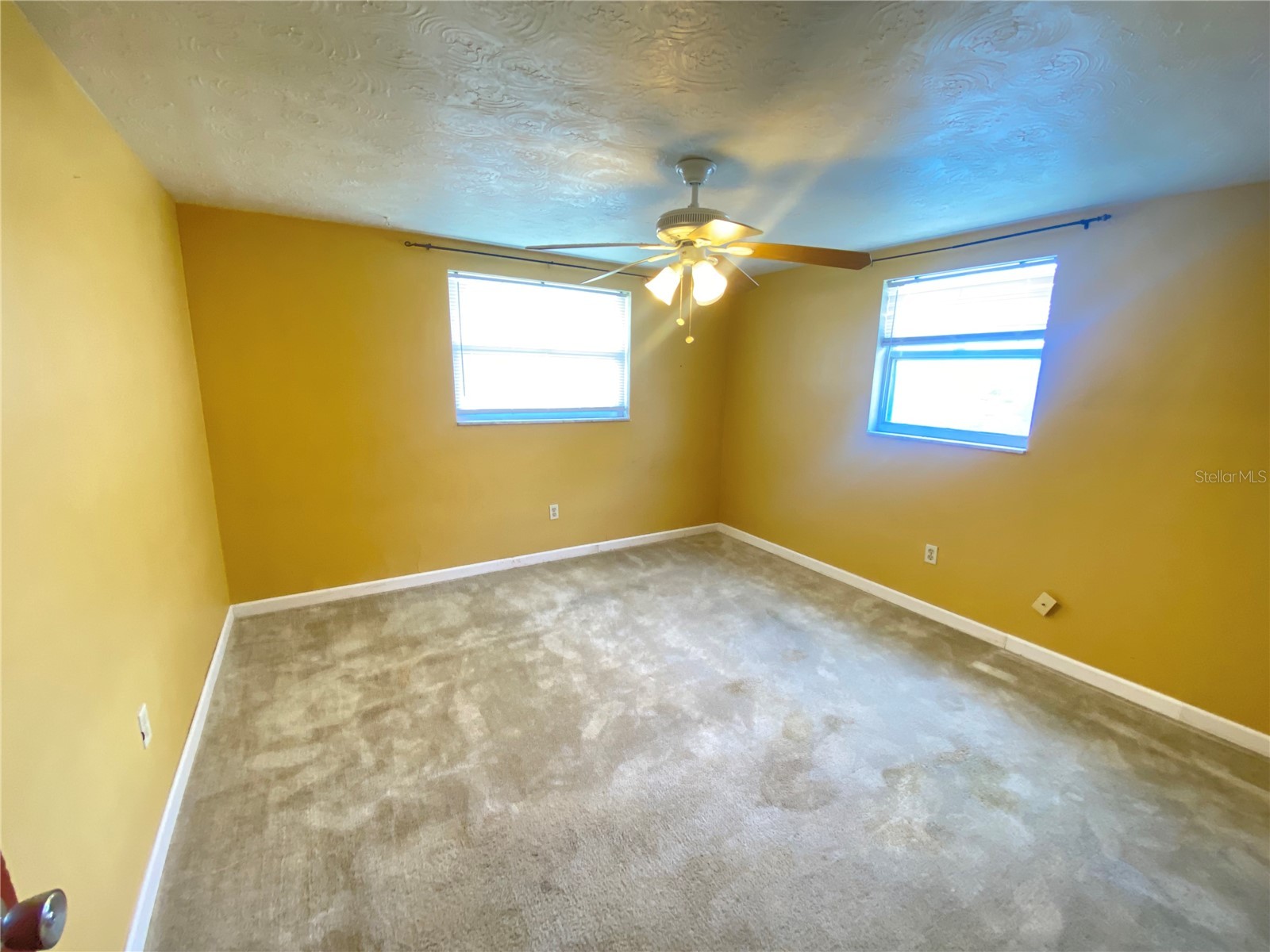 2713 Capricorn Place Holiday FL 34691 TB8531833 image13