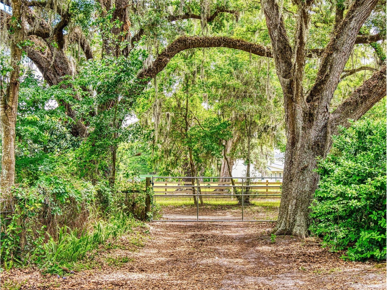 2713 Cr 776 Webster FL 33597 G5111451 image4