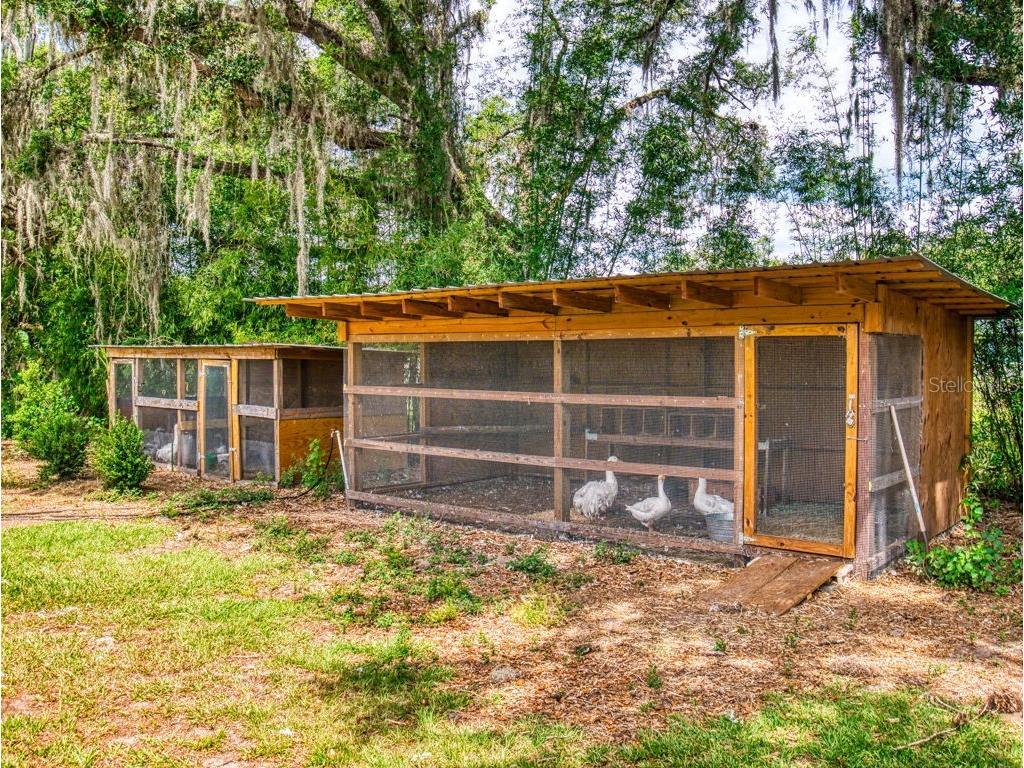 2713 Cr 776 Webster FL 33597 G5111451 image43