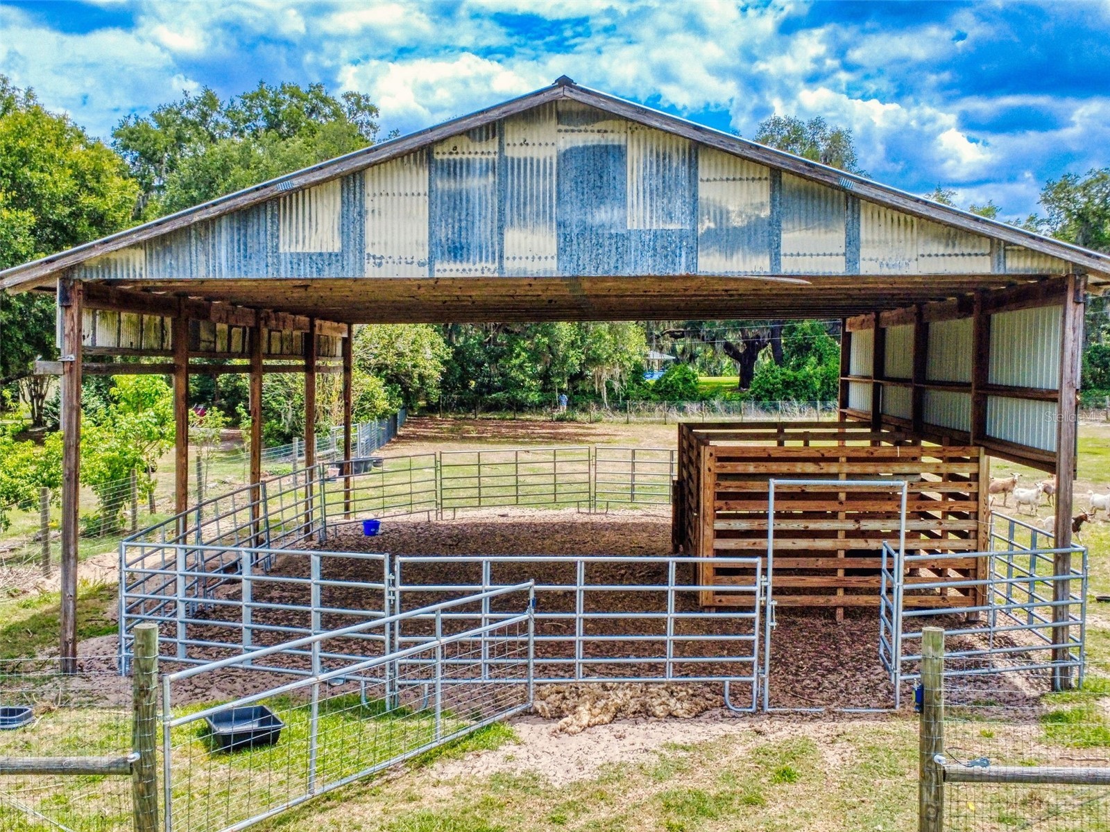2713 Cr 776 Webster FL 33597 G5111451 image45