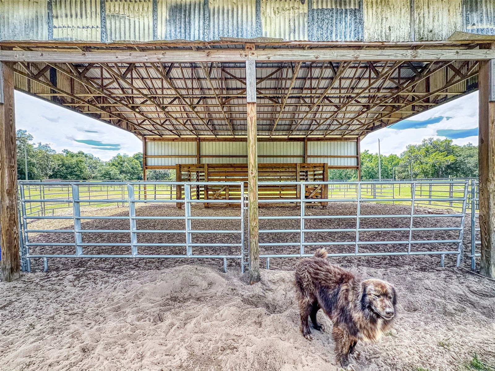 2713 Cr 776 Webster FL 33597 G5111451 image61