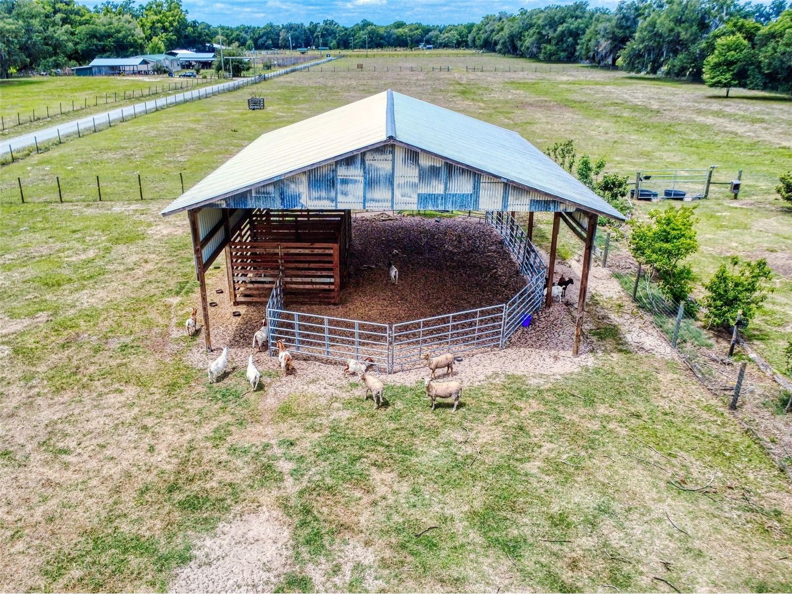 2713 Cr 776 Webster FL 33597 G5111451 image62