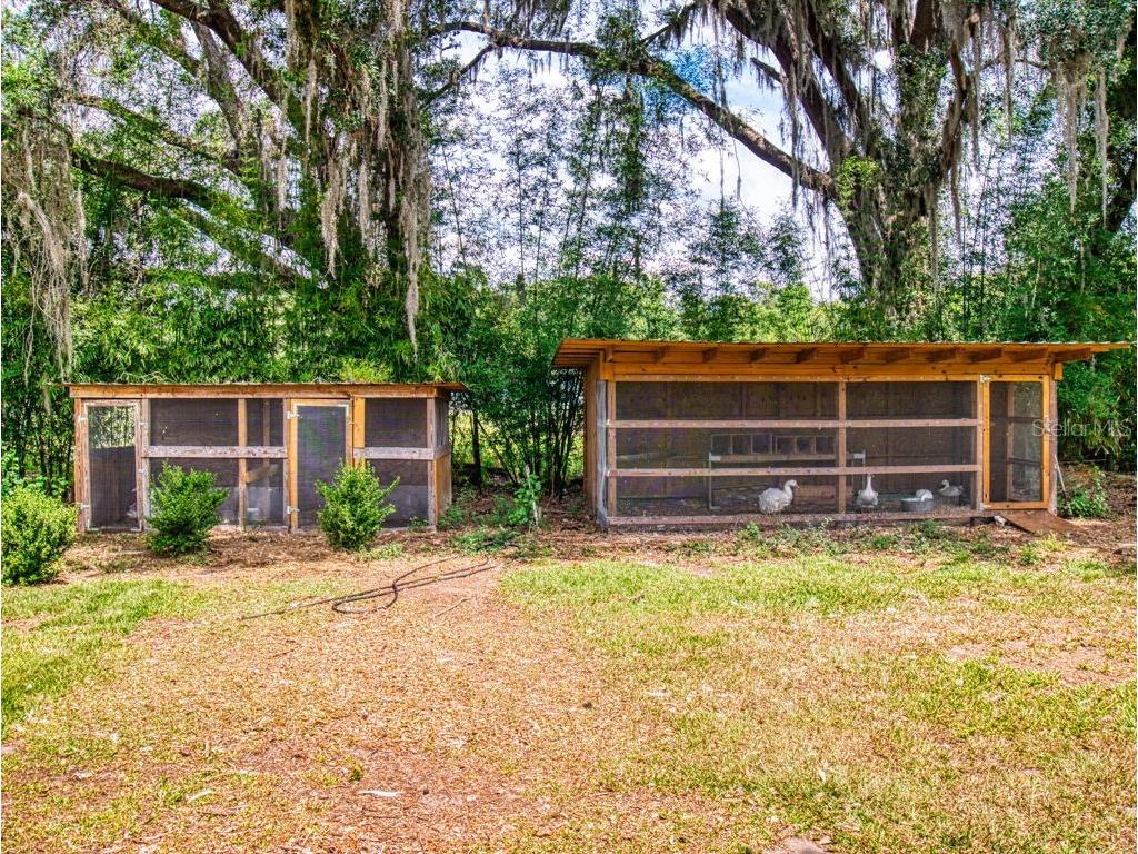 2713 Cr 776 Webster FL 33597 G5111451 image65