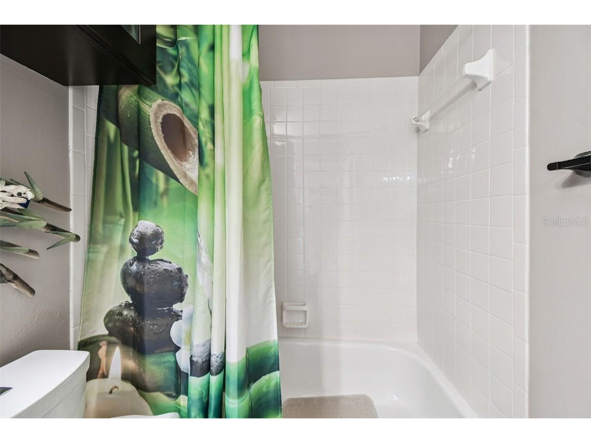 2713 Crestfield Drive Valrico FL 33596 TB8456574 image58