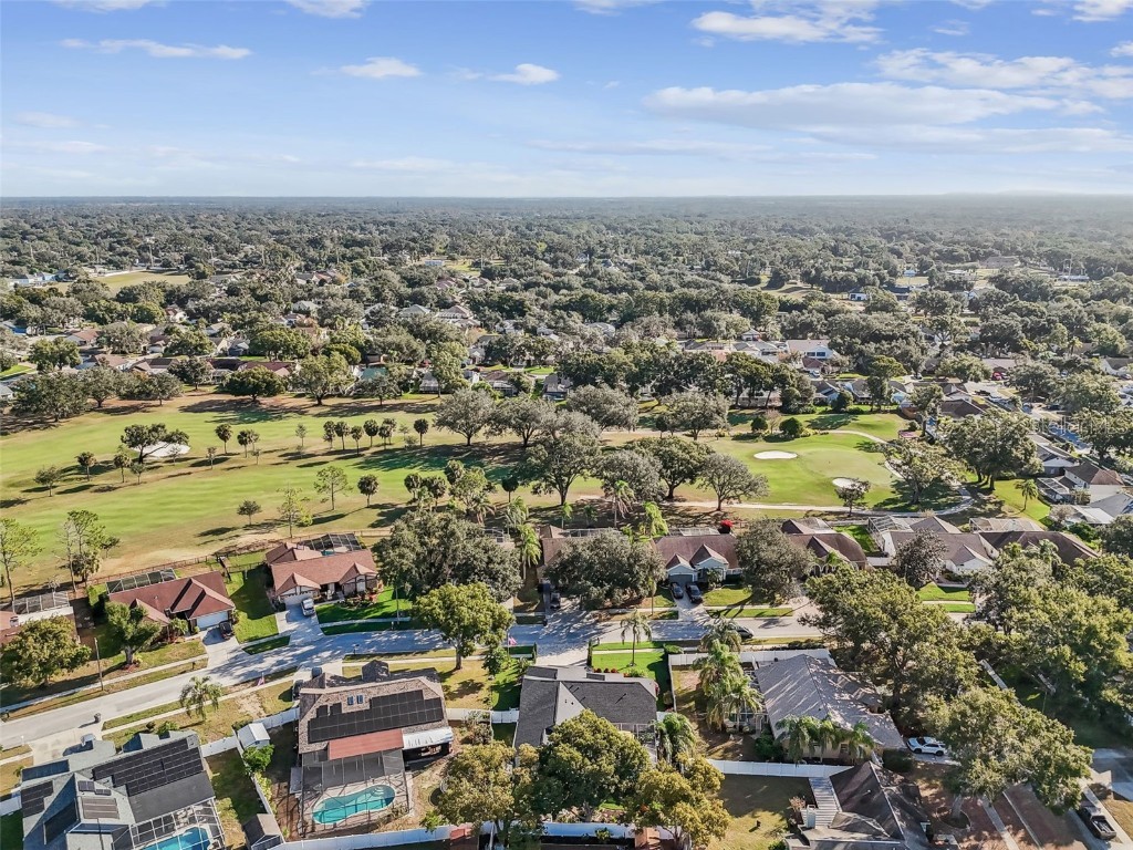 2713 Crestfield Drive Valrico FL 33596 TB8456574 image83