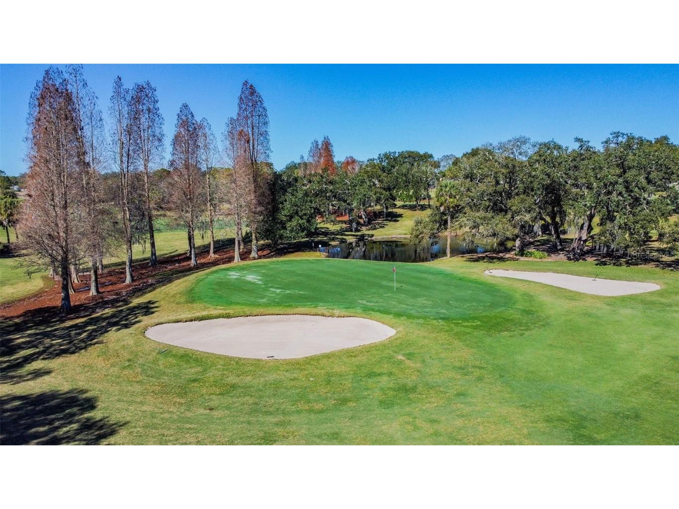 2713 Crestfield Drive Valrico FL 33596 TB8456574 image85