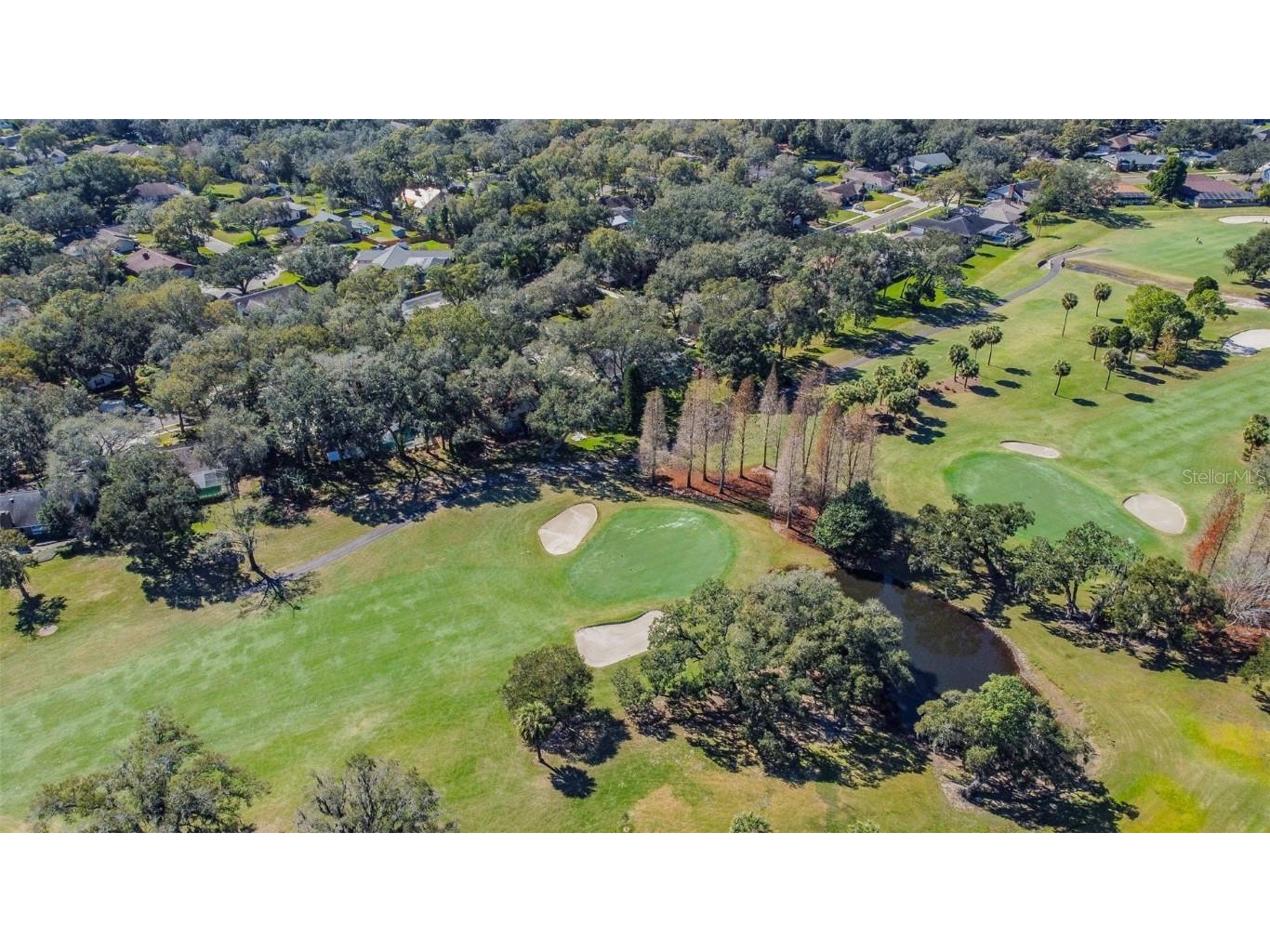 2713 Crestfield Drive Valrico FL 33596 TB8456574 image87