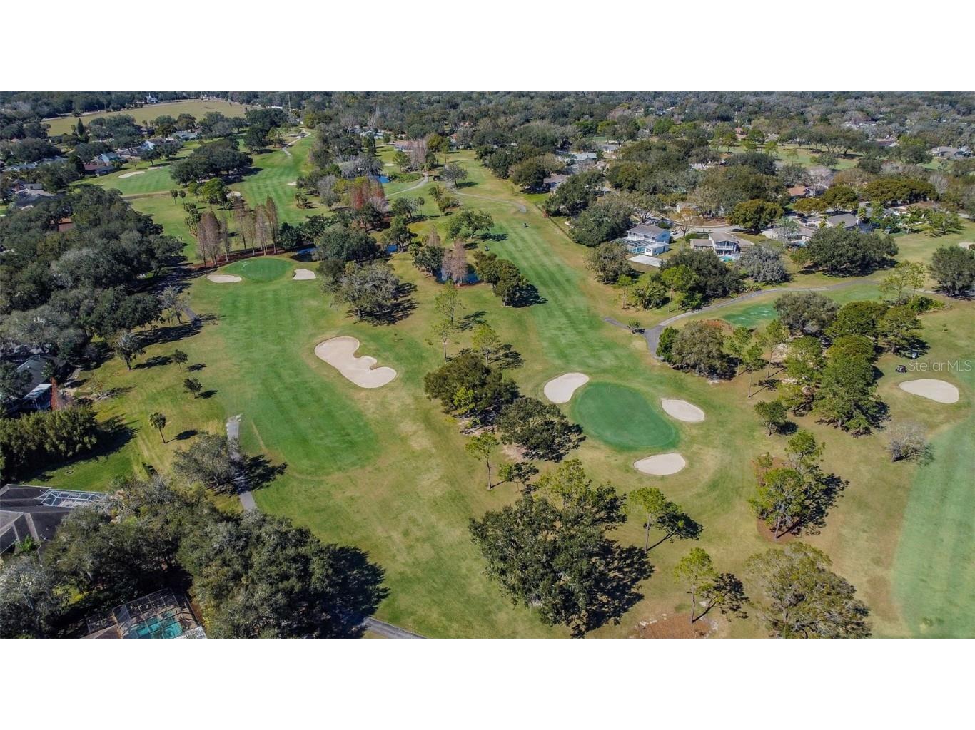 2713 Crestfield Drive Valrico FL 33596 TB8456574 image88