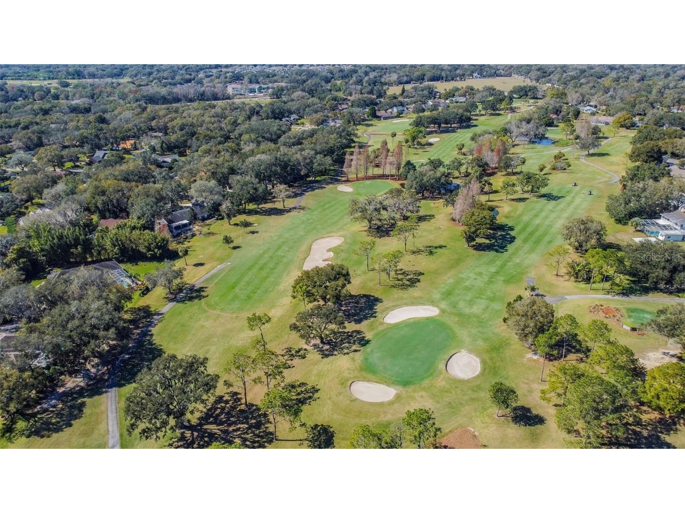 2713 Crestfield Drive Valrico FL 33596 TB8456574 image90