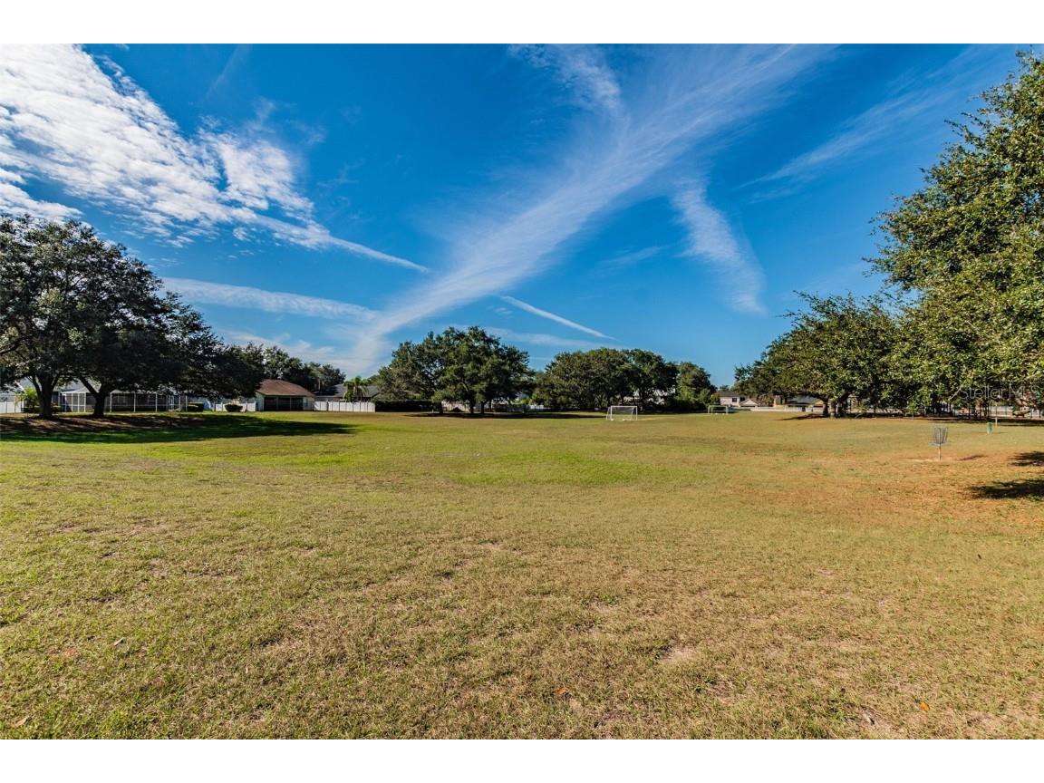 2713 Crestfield Drive Valrico FL 33596 TB8456574 image98