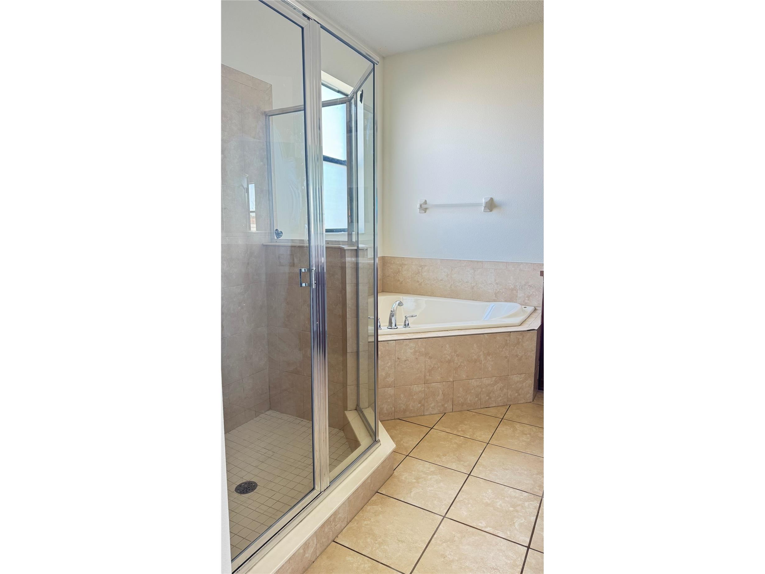 2713 Kinsey Drive Kissimmee FL 34746 O6393320 image21