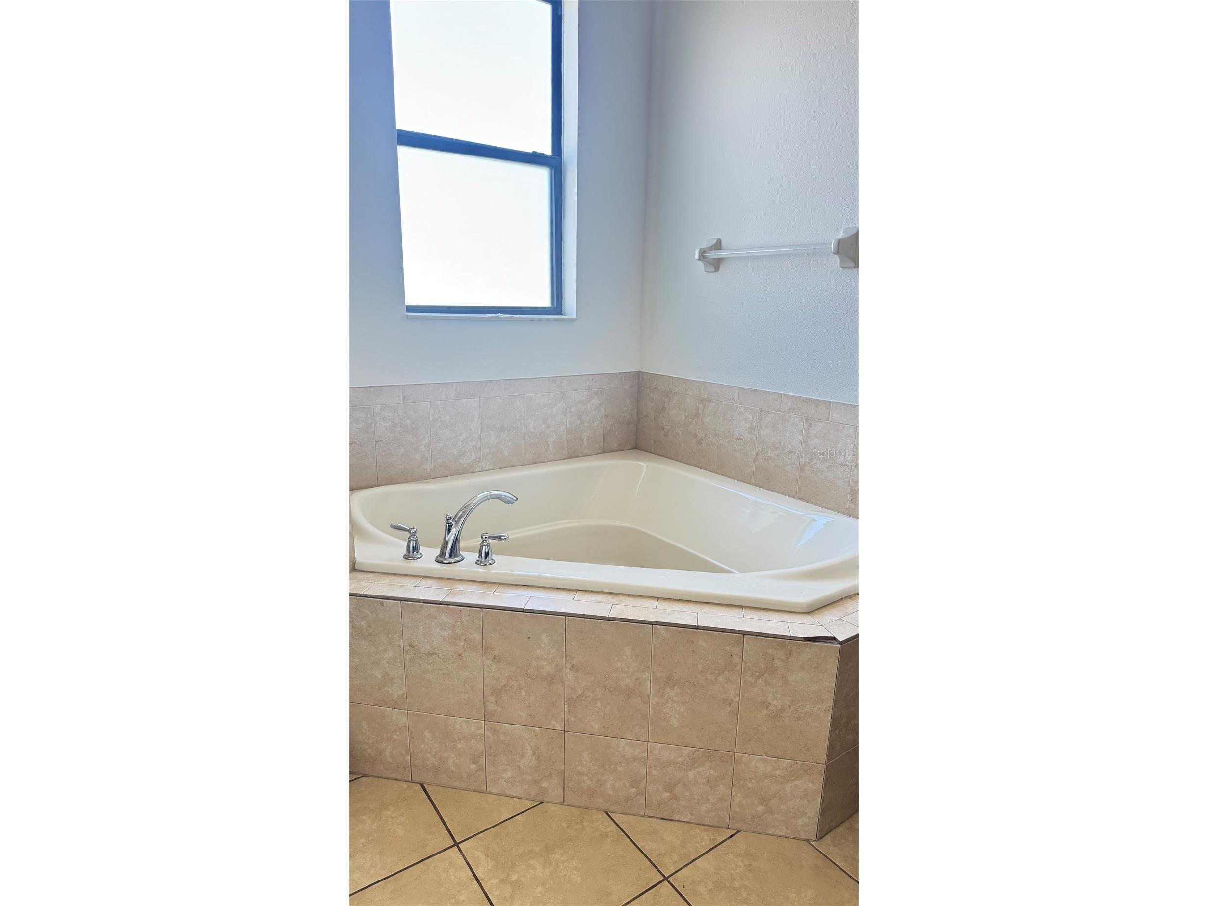 2713 Kinsey Drive Kissimmee FL 34746 O6393320 image22