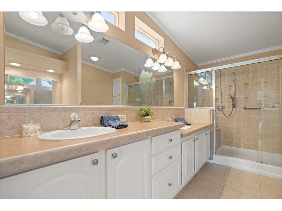 2713 Lake Grassmere Court #893 Zellwood FL 32798 O6316902 image13