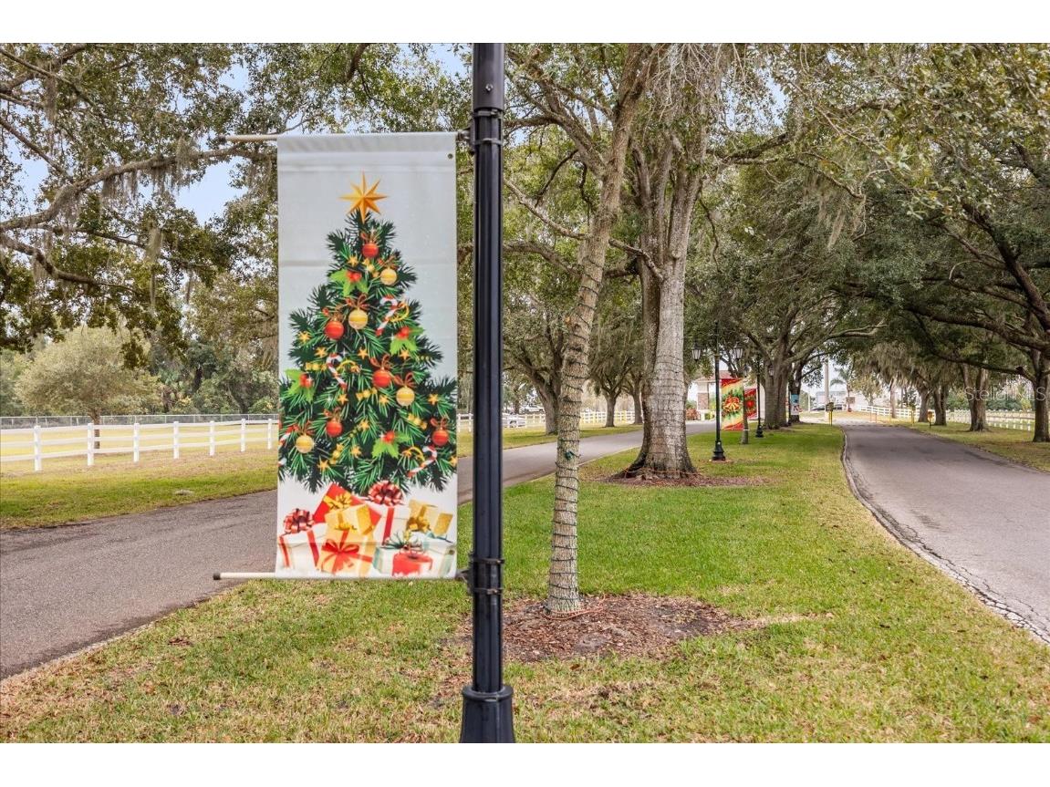 2713 Lake Grassmere Court #893 Zellwood FL 32798 O6316902 image44