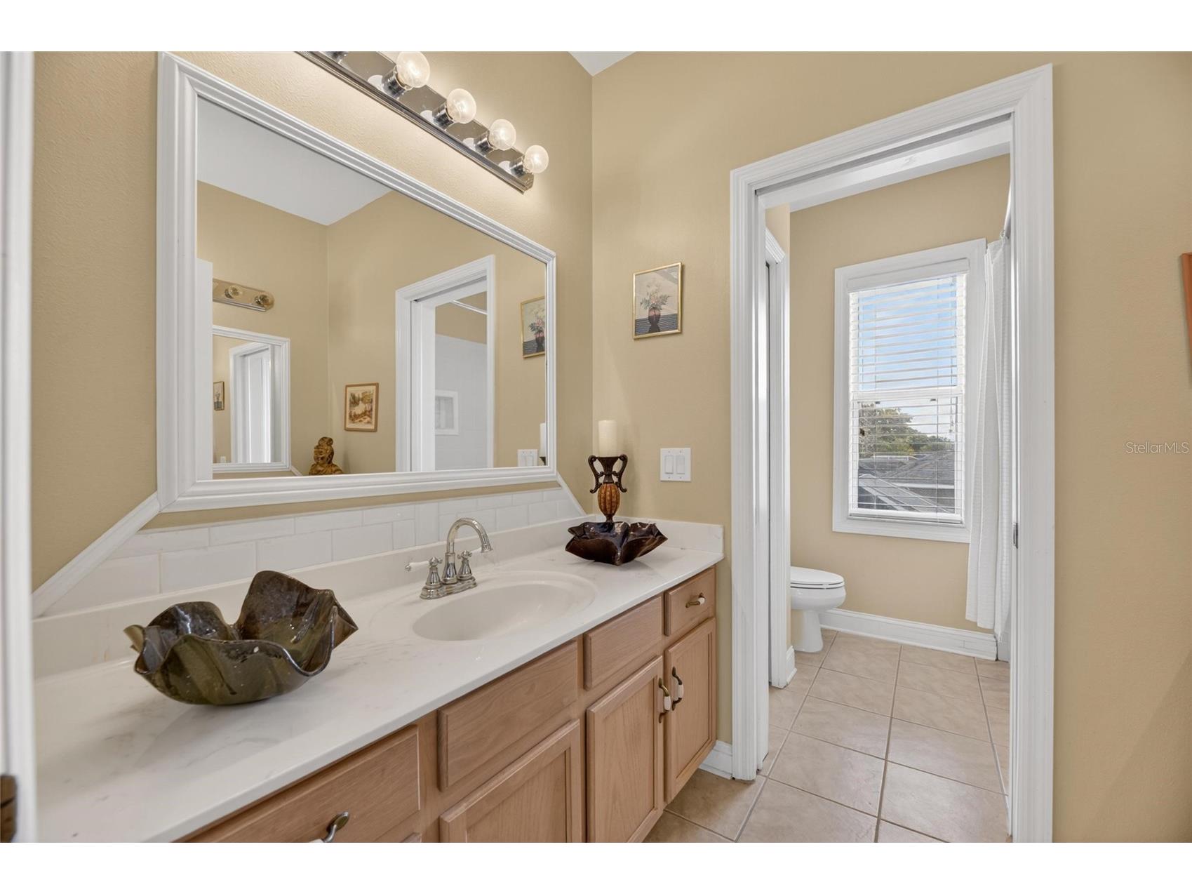 2713 Park Meadow Drive Valrico FL 33594 TB8512235 image49