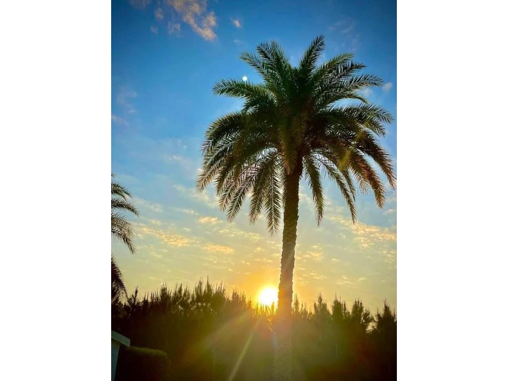 2713 St George Drive Davenport FL 33837 O6338247 image31