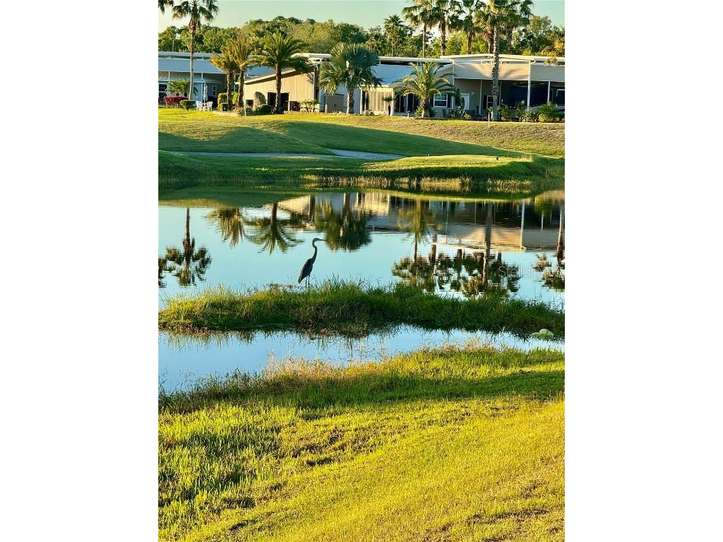 2713 St George Drive Davenport FL 33837 O6338247 image33