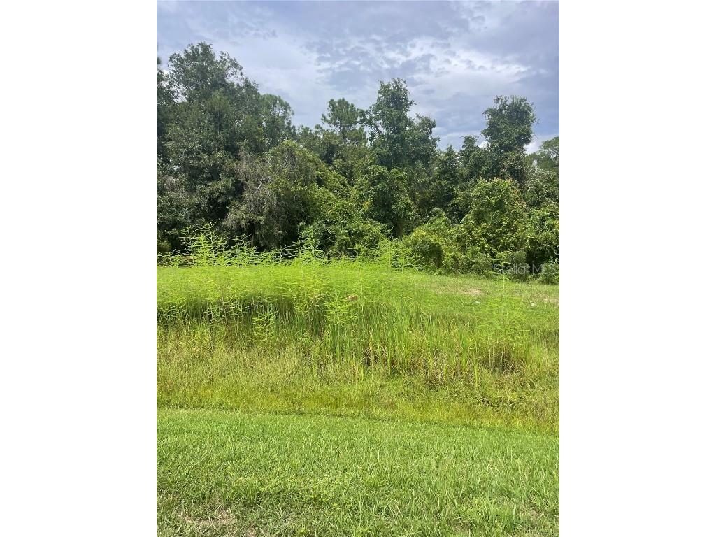 2713 St George Drive Davenport FL 33837 O6338247 image6