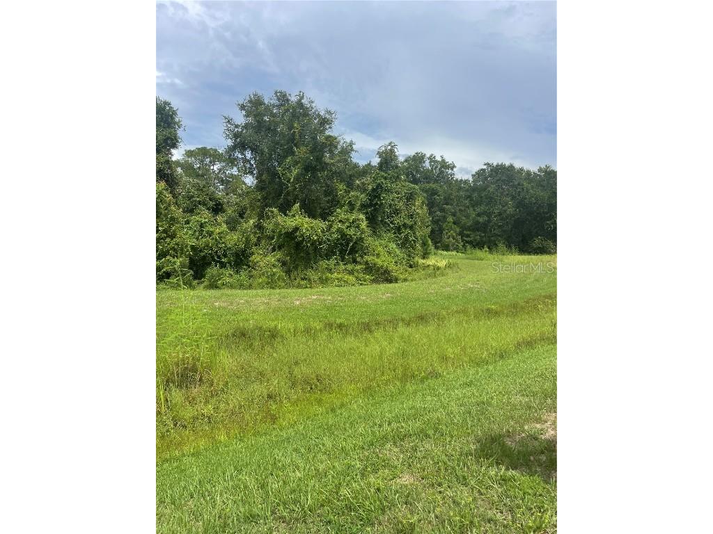 2713 St George Drive Davenport FL 33837 O6338247 image7