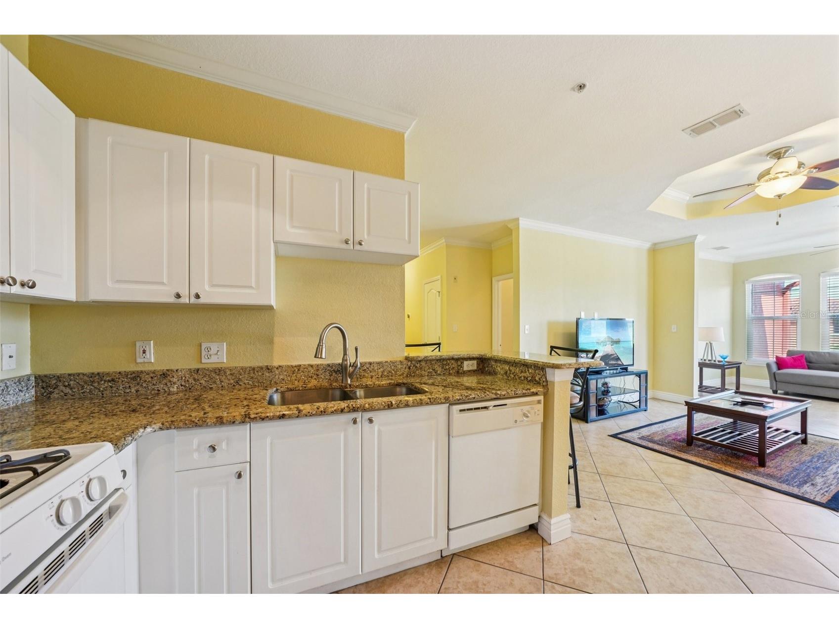 2713 Via Murano #233 Clearwater FL 33764 TB8493132 image8