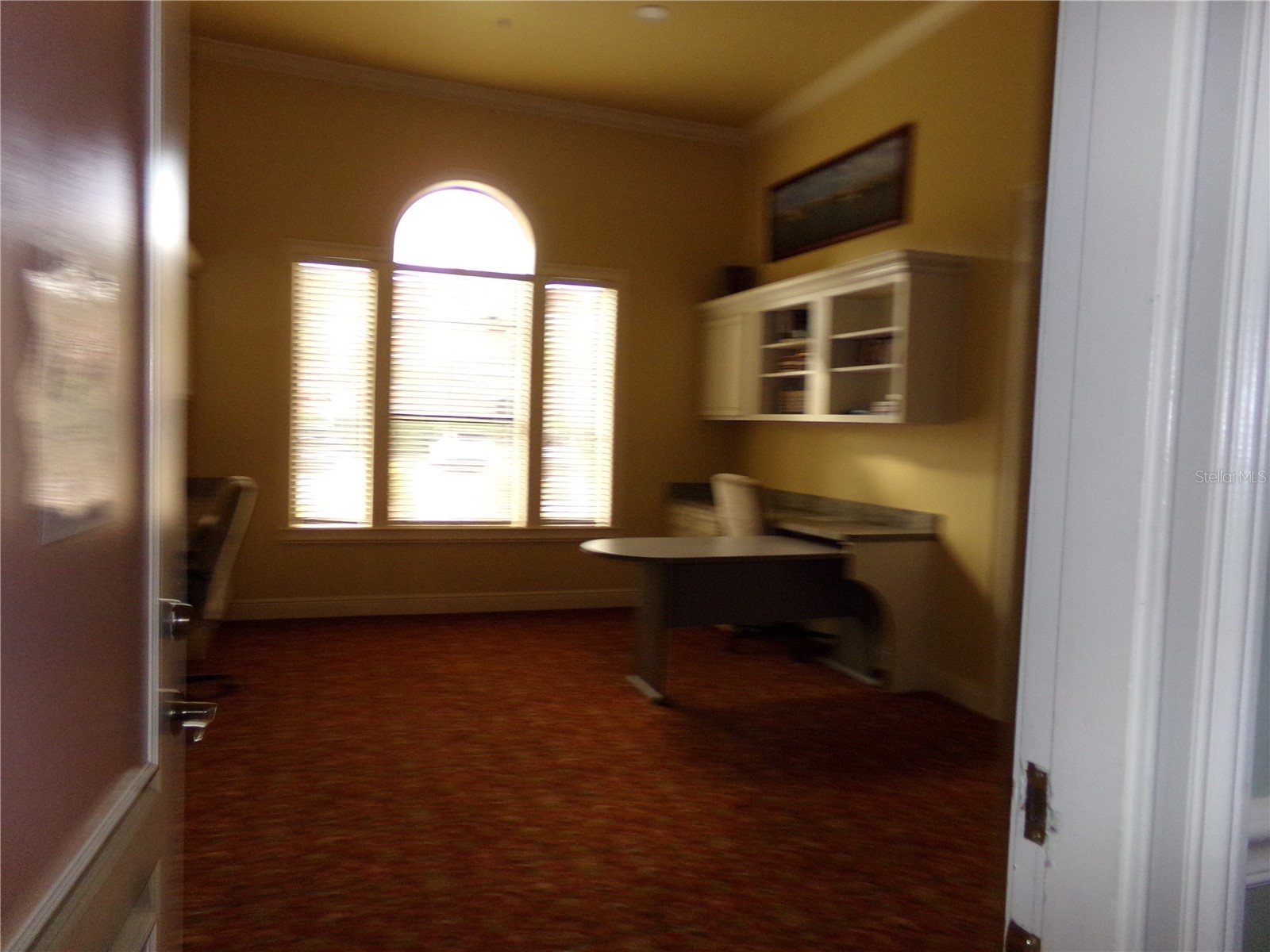 2713 Via Murano #239 Clearwater FL 33764 - OLD TAMPA BAY TB8462391 image24