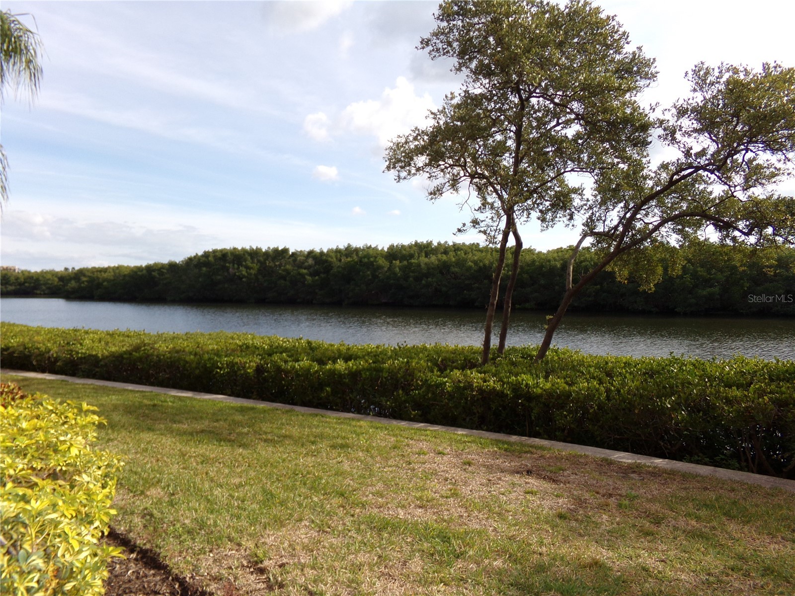 2713 Via Murano #239 Clearwater FL 33764 - OLD TAMPA BAY TB8462391 image40