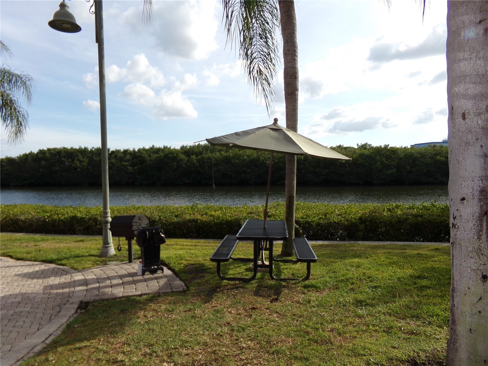 2713 Via Murano #239 Clearwater FL 33764 - OLD TAMPA BAY TB8462391 image42