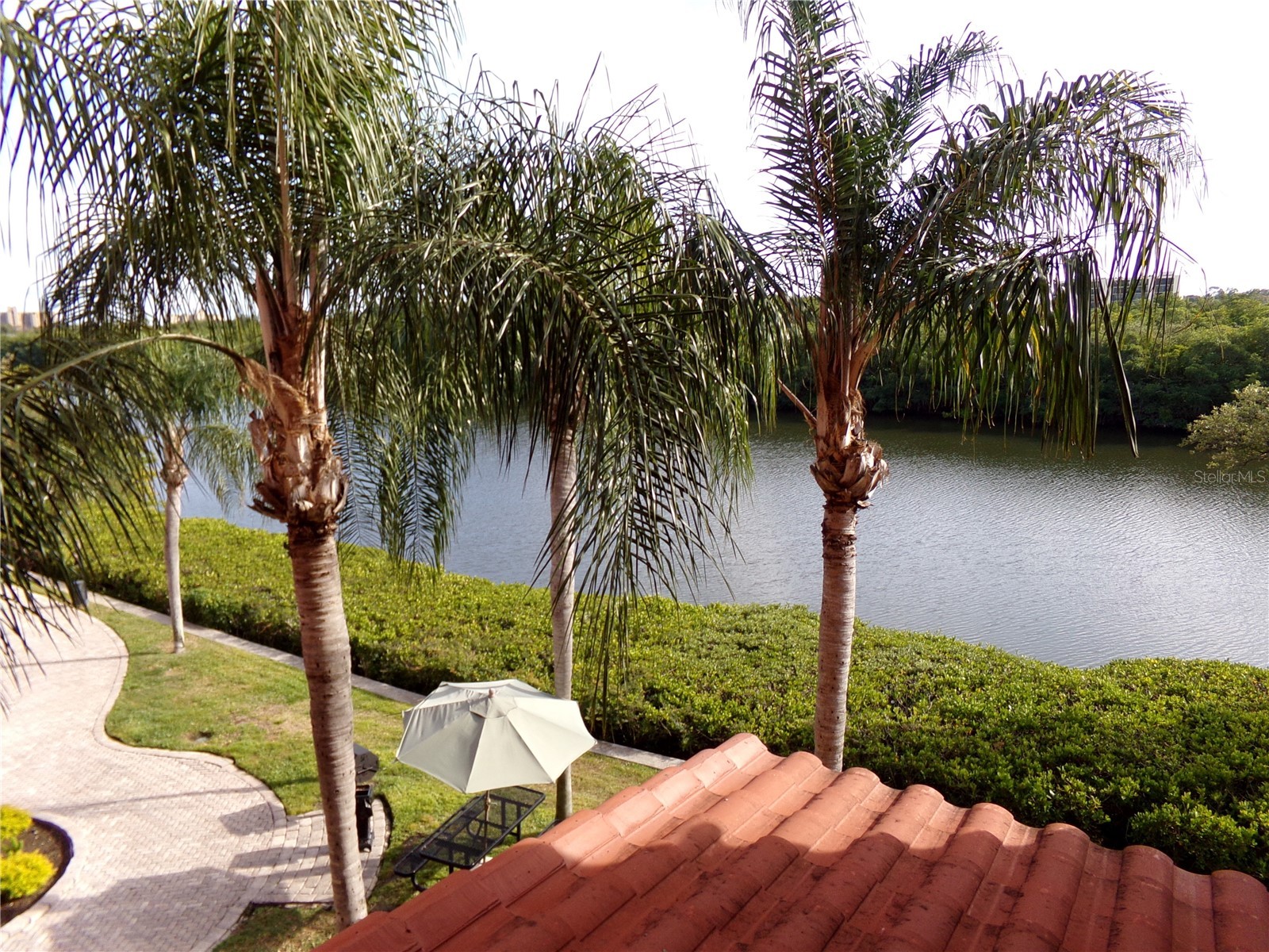 2713 Via Murano #239 Clearwater FL 33764 - OLD TAMPA BAY TB8462391 image43