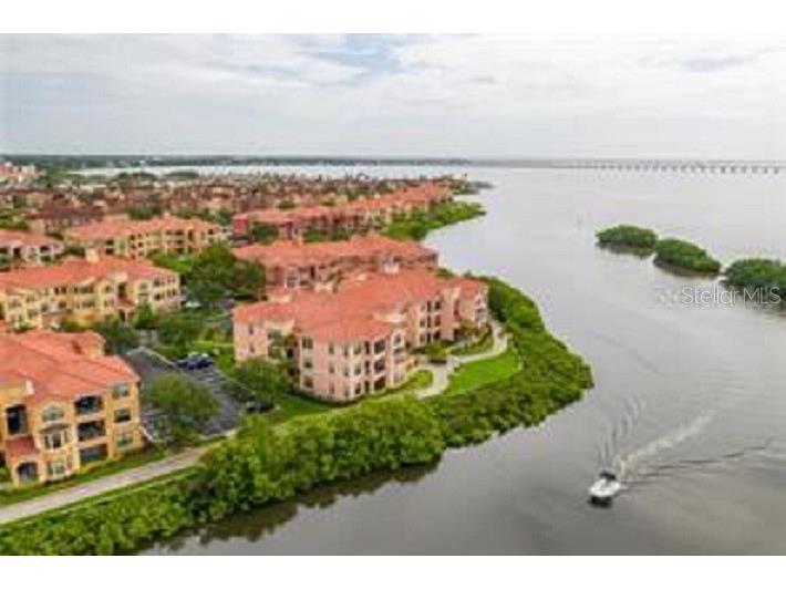 2713 Via Murano #239 Clearwater FL 33764 - OLD TAMPA BAY TB8462391 image65