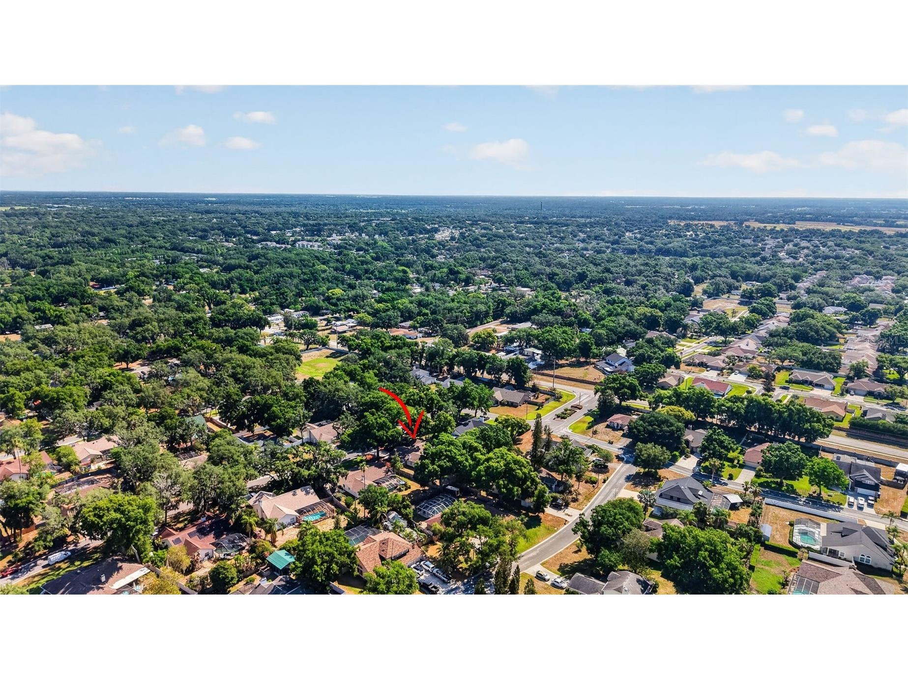 2713 Willow Oaks Drive Valrico FL 33594 TB8507985 image43