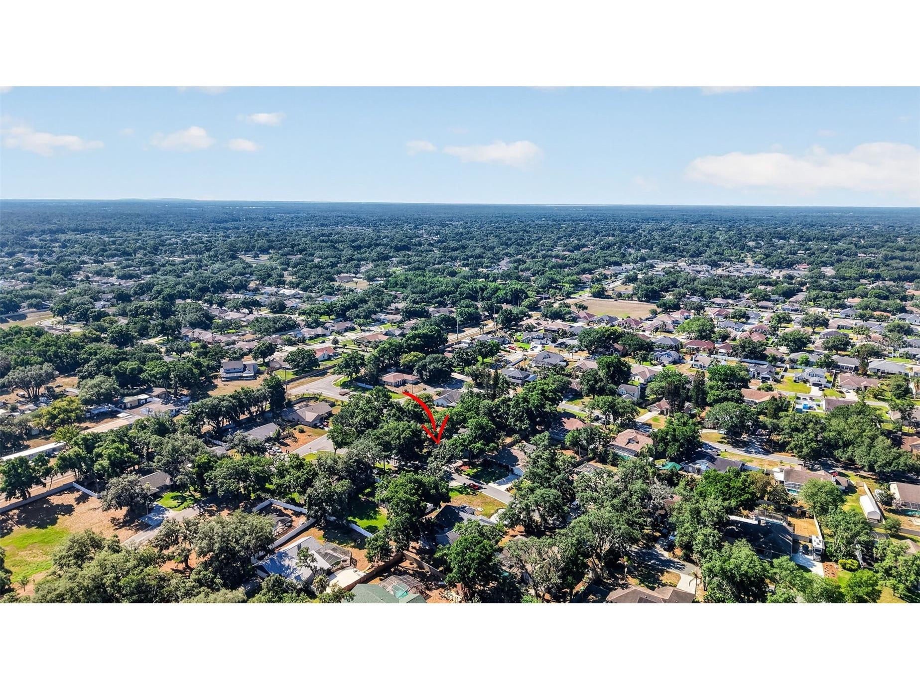 2713 Willow Oaks Drive Valrico FL 33594 TB8507985 image44