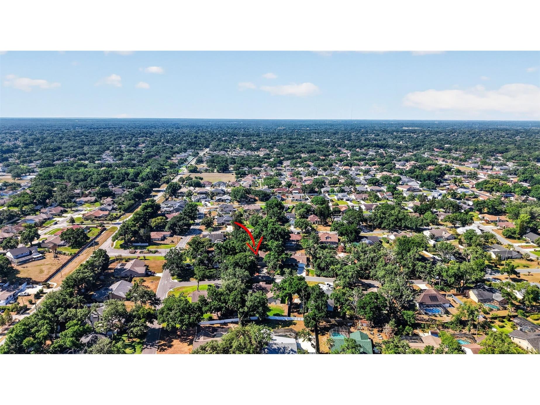 2713 Willow Oaks Drive Valrico FL 33594 TB8507985 image45