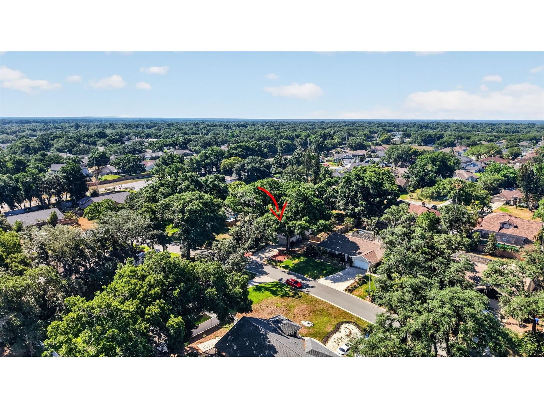 2713 Willow Oaks Drive Valrico FL 33594 TB8507985 image47