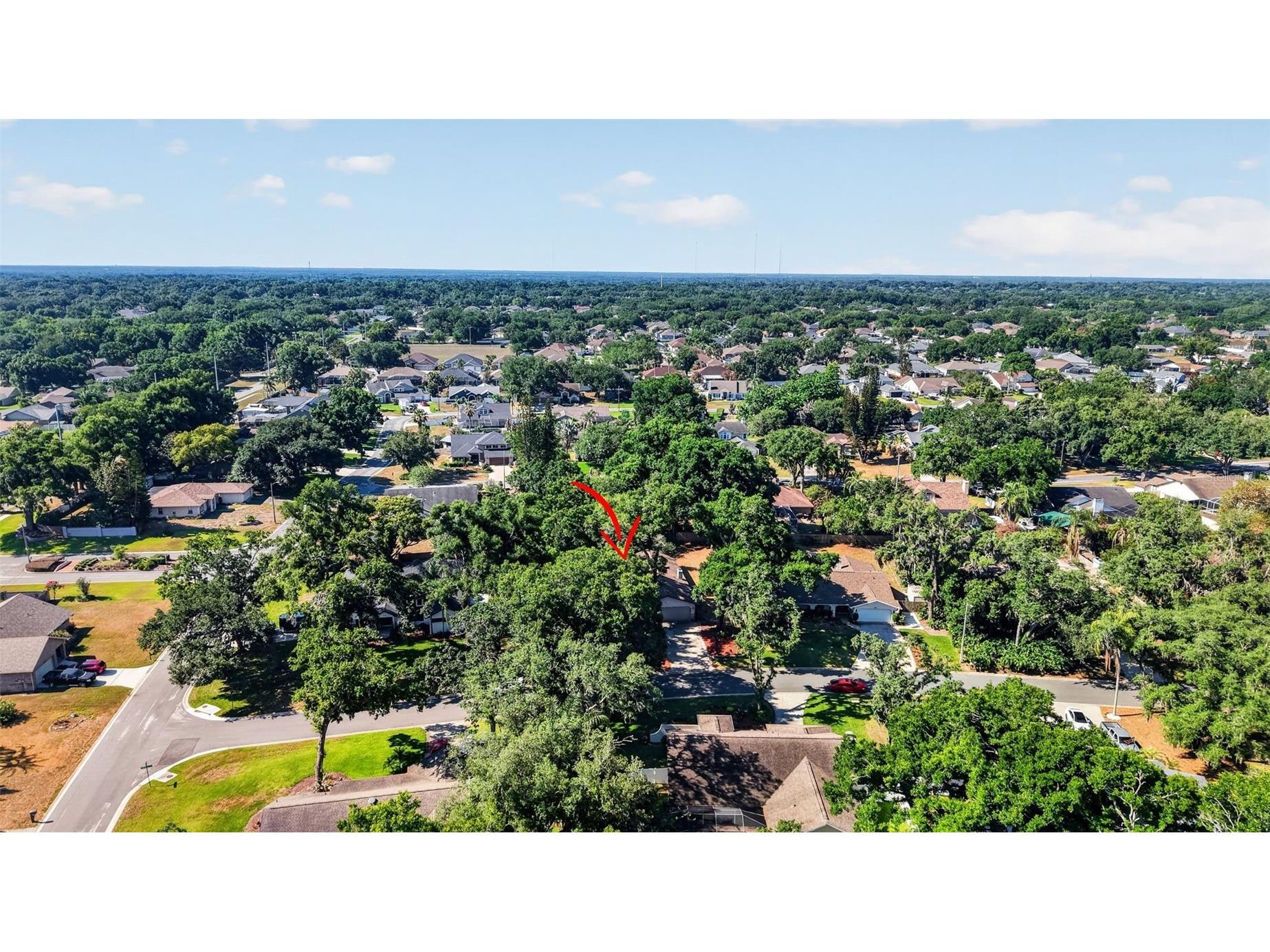 2713 Willow Oaks Drive Valrico FL 33594 TB8507985 image48