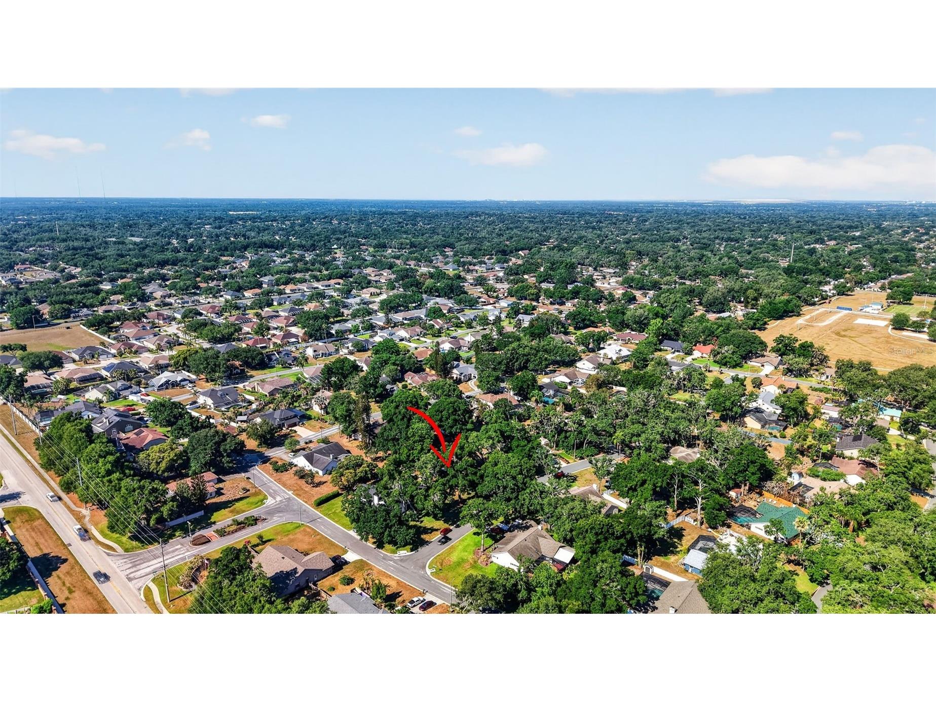 2713 Willow Oaks Drive Valrico FL 33594 TB8507985 image49