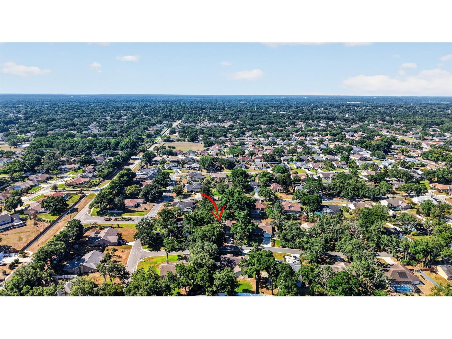 2713 Willow Oaks Drive Valrico FL 33594 TB8507985 image53