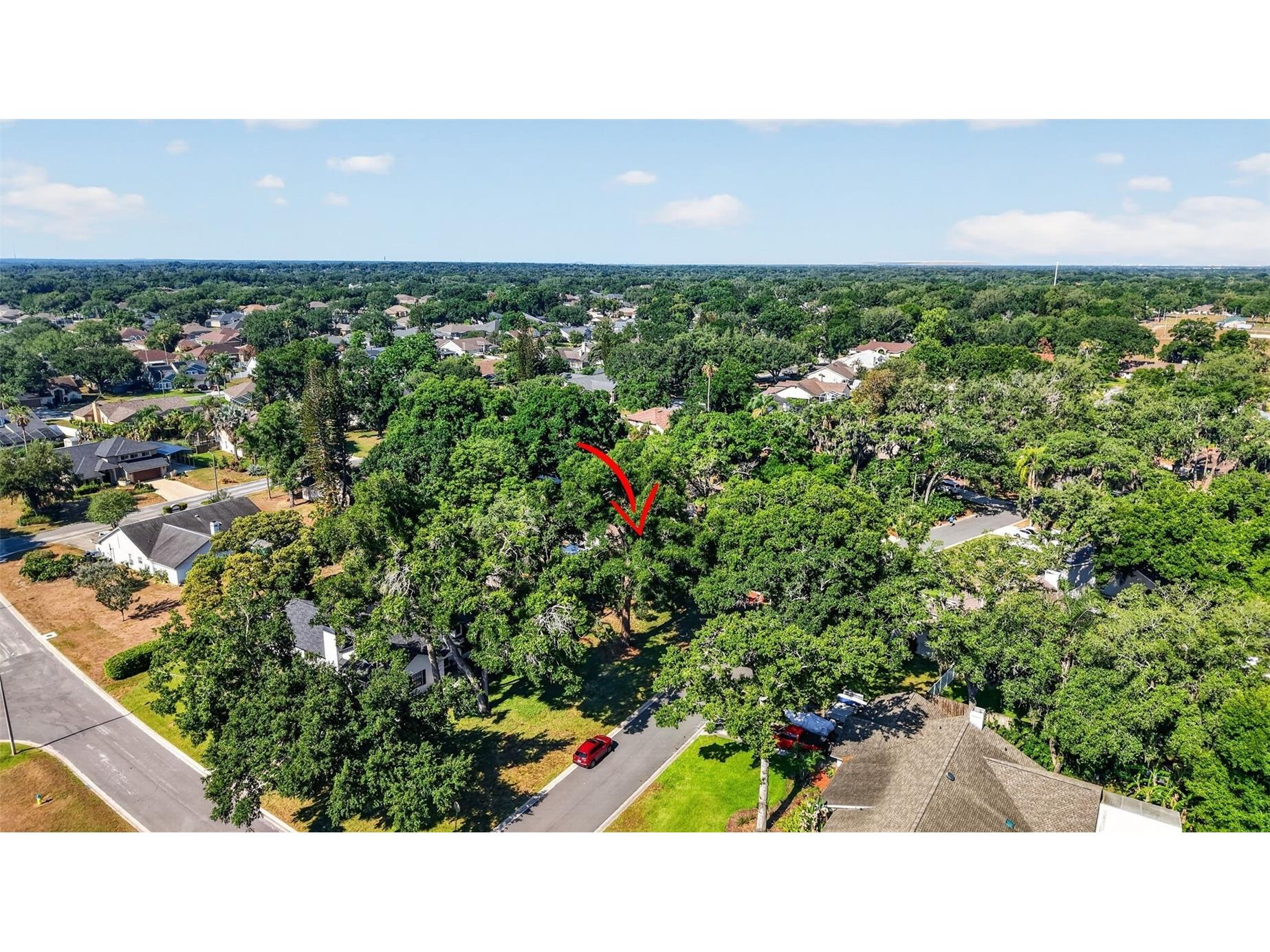 2713 Willow Oaks Drive Valrico FL 33594 TB8507985 image54